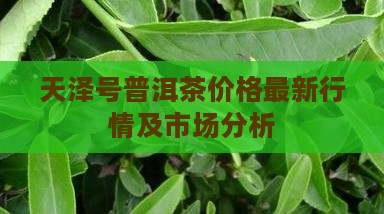 天泽号普洱茶价格