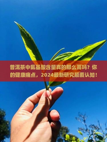 普洱茶中氨基酸含量