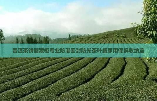 普洱茶饼储藏柜