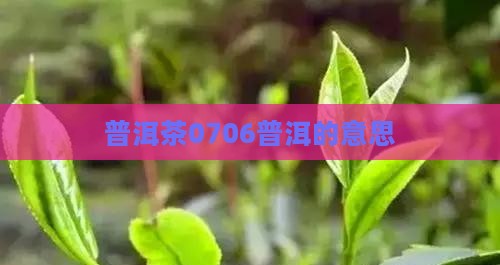 普洱茶0706意思