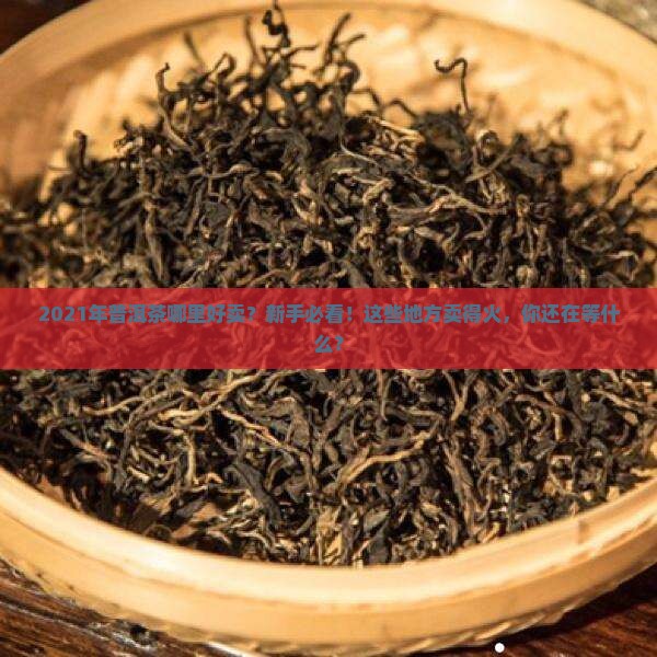 2021年普洱茶哪里好卖