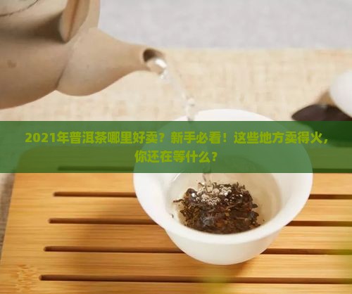2021年普洱茶哪里好卖