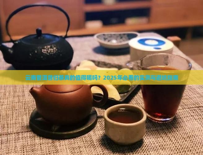 云南普洱昔归茶好不好