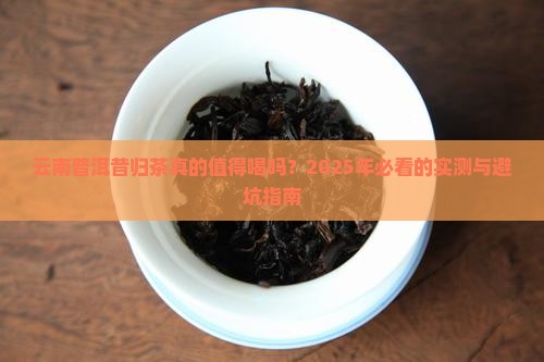 云南普洱昔归茶好不好