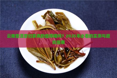云南普洱昔归茶好不好