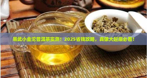 易武小金沱普洱茶