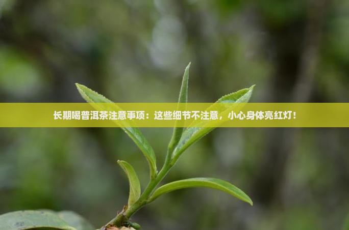 长期喝普洱茶注意事项