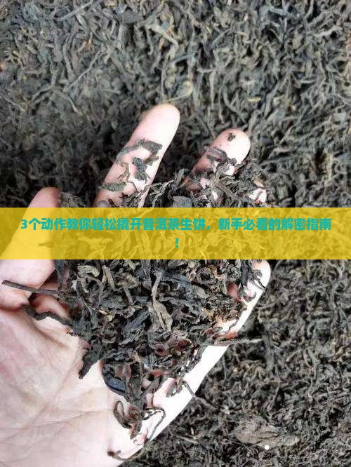 普洱茶生饼的撬法