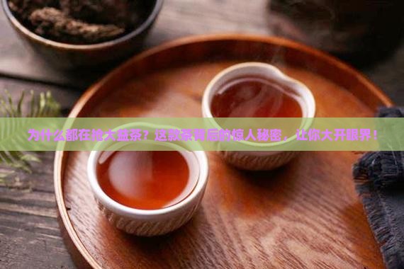 为什么都在抢大益茶