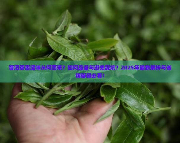 普洱茶舌尖上的苦与涩