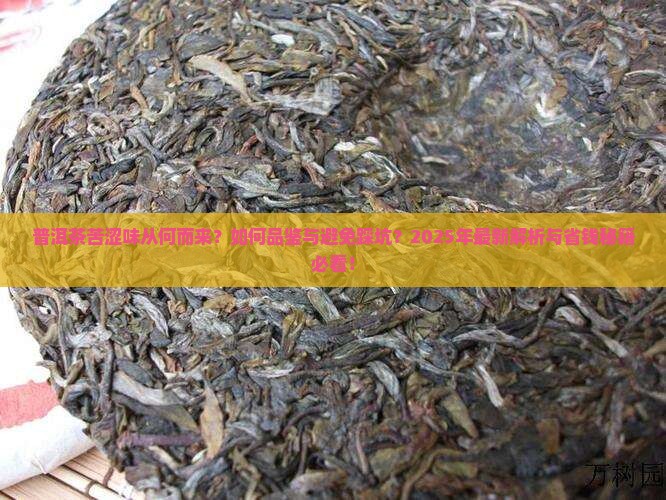 普洱茶舌尖上的苦与涩