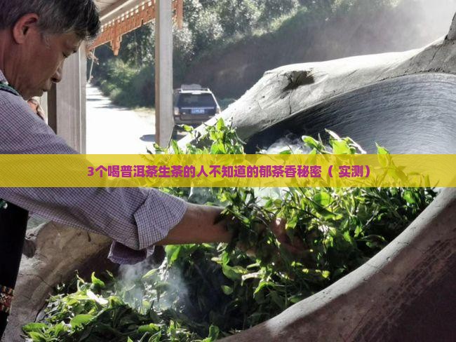 普洱茶生茶郁茶香