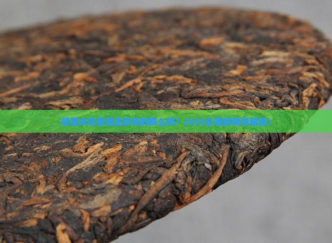 黎星冰岛普洱茶生茶