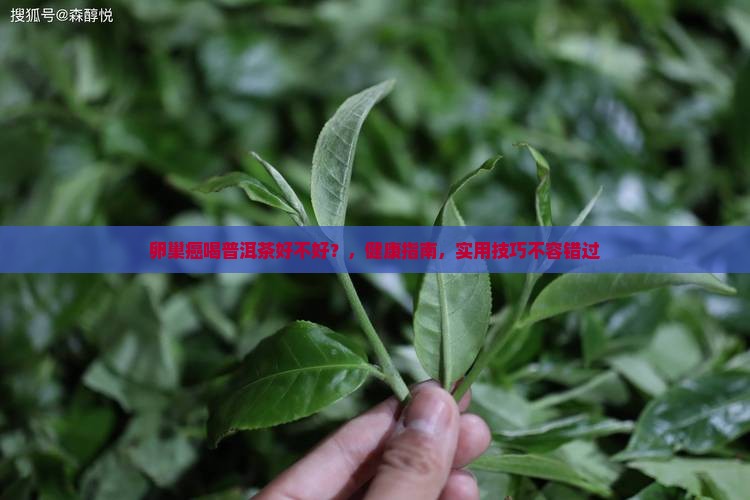 卵巢癌喝普洱茶好不好