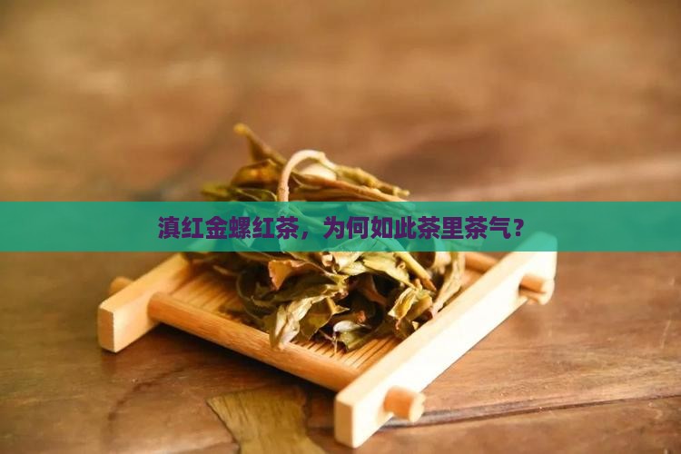 云南金螺红茶你咋茶里茶气的