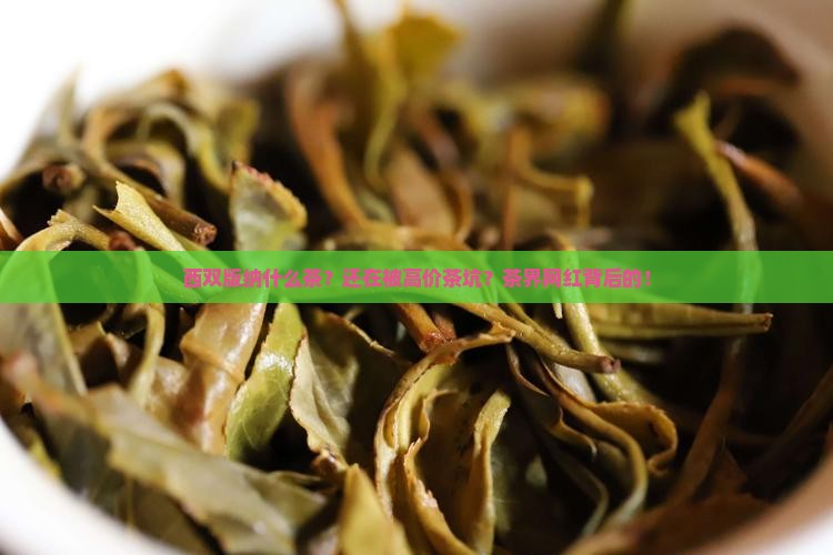 西双版纳什么茶