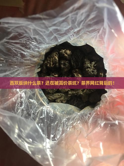 西双版纳什么茶