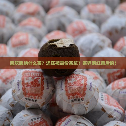 西双版纳什么茶