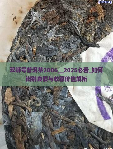 双狮号普洱茶2006