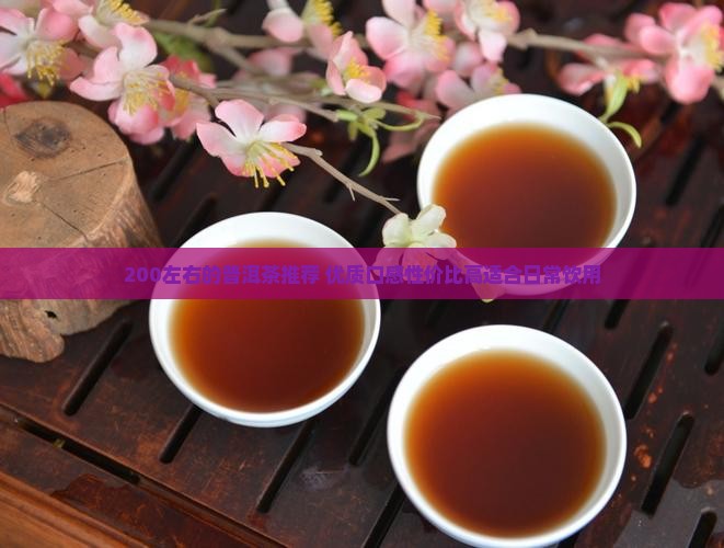 200左右的普洱茶推荐