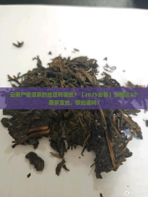 云南产普洱茶的地区有哪些