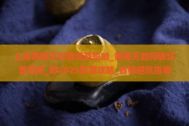 上海黄梅天对普洱茶影响