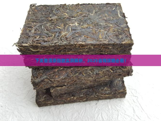 下关普洱茶指数