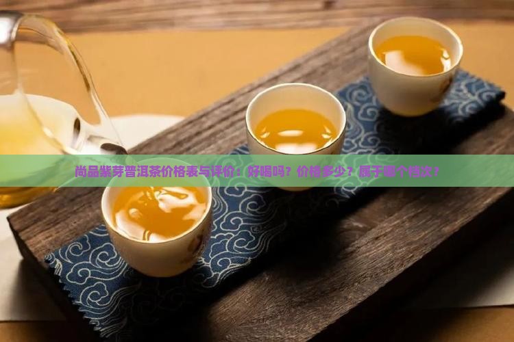 尚品紫芽普洱茶