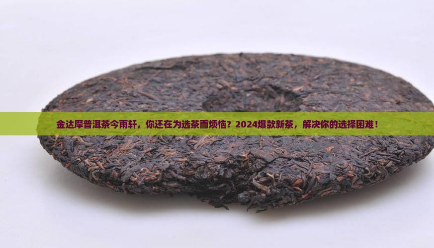 金达摩普洱茶今雨轩