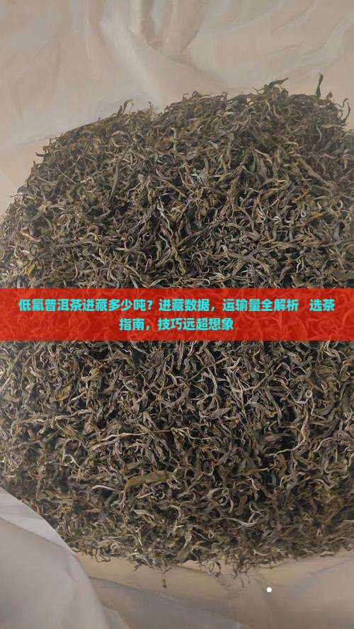 低氟普洱茶进藏多少吨