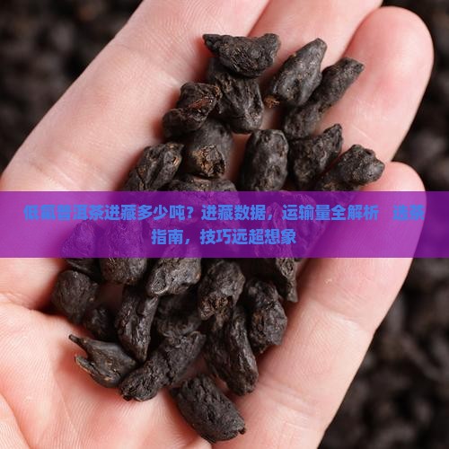 低氟普洱茶进藏多少吨