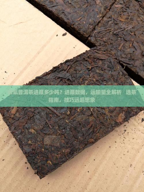 低氟普洱茶进藏多少吨