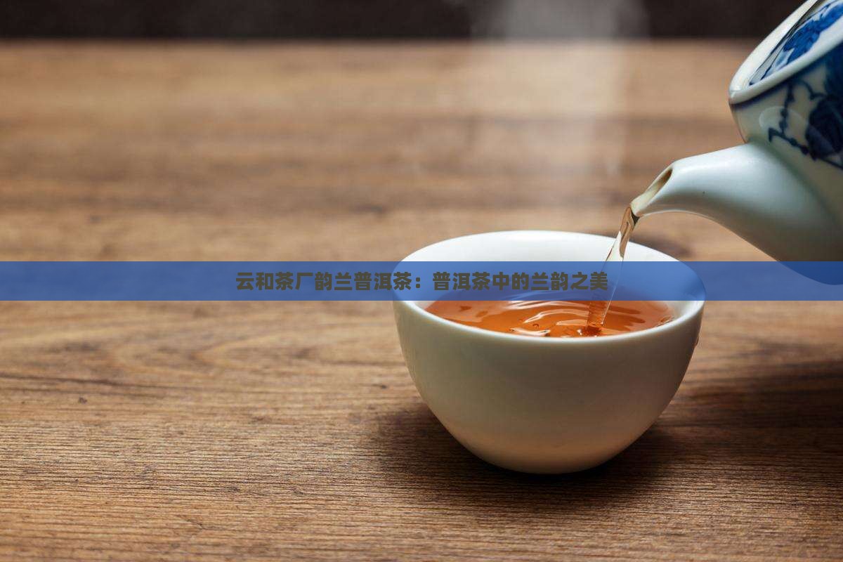 云和茶厂韵兰普洱茶