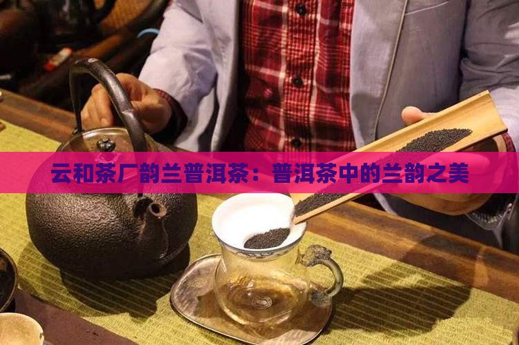云和茶厂韵兰普洱茶