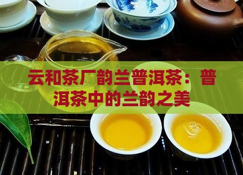 云和茶厂韵兰普洱茶