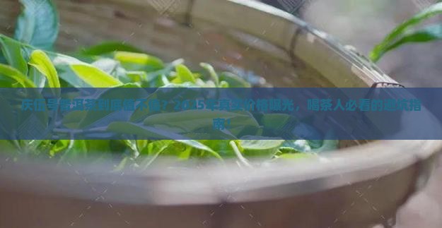 庆伍号普洱茶价格
