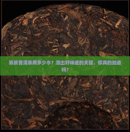 陈皮普洱茶用多少水