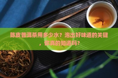 陈皮普洱茶用多少水