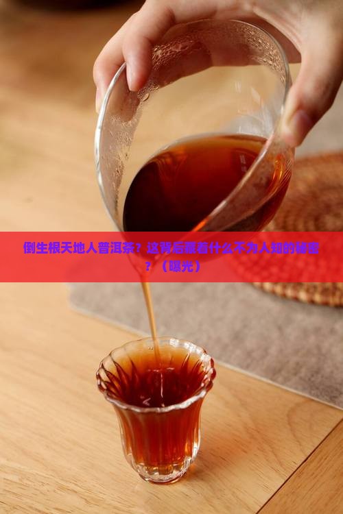 倒生根天地人普洱茶官网
