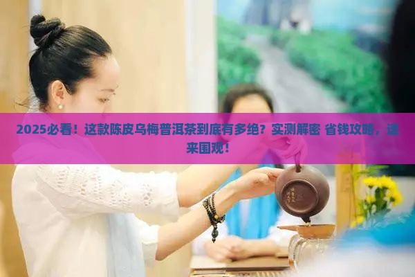 陈皮乌梅普洱茶