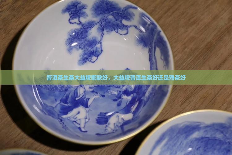 普洱茶生茶大益牌
