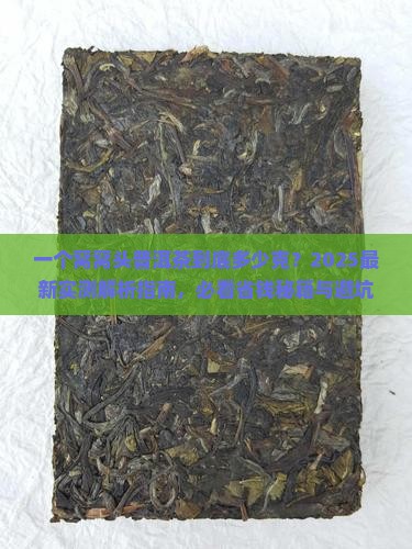 一个窝窝头普洱茶的多少克
