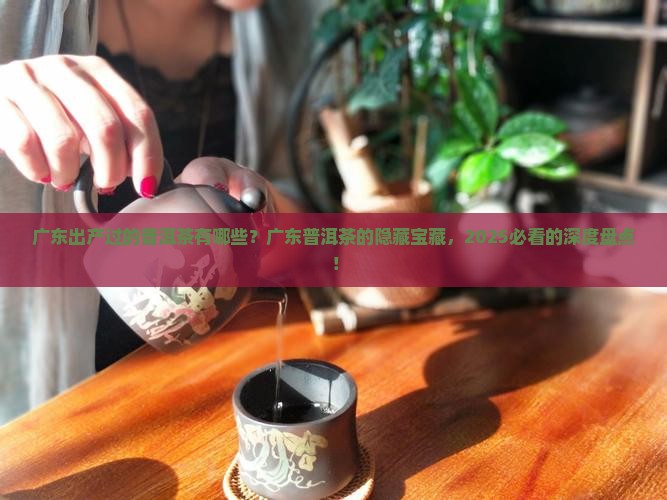 广东出产过的普洱茶有哪些