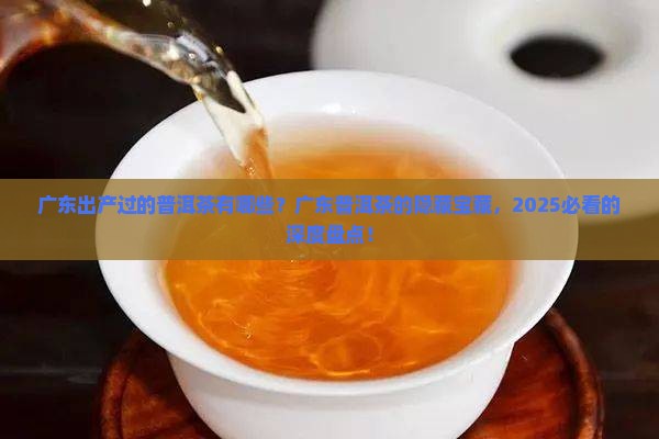 广东出产过的普洱茶有哪些