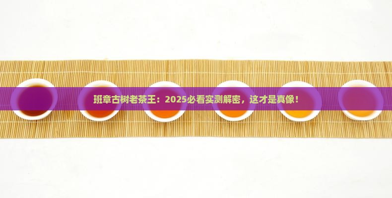 班章古树老茶王
