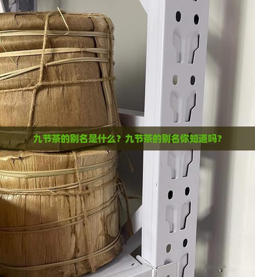 九节茶的别名是什么