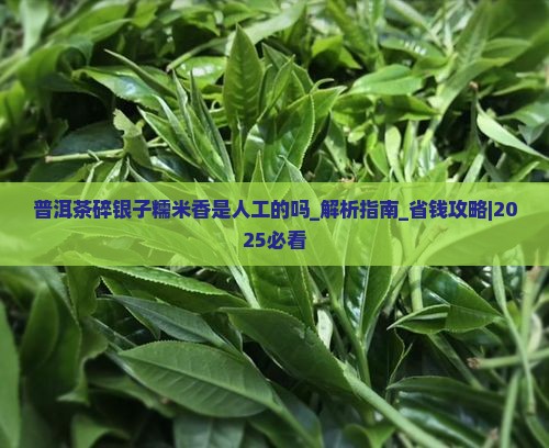 普洱茶碎银子糯米香是人工的吗