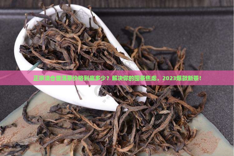 正宗清仓普洱茶价格