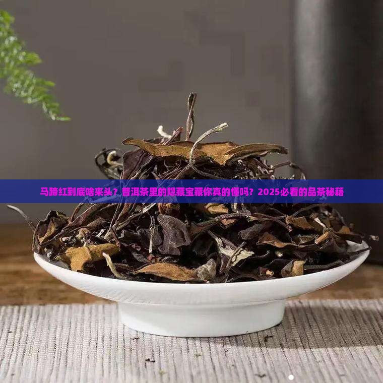 普洱茶中的马蹄红