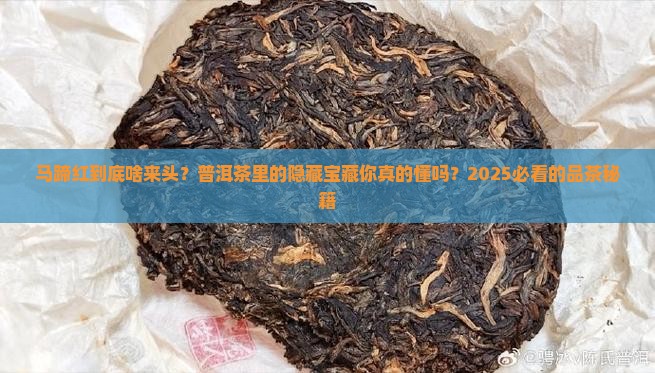 普洱茶中的马蹄红